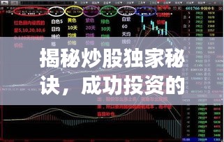揭秘炒股独家秘诀,成功投资的策略与关键要素