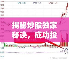 揭秘炒股独家秘诀,成功投资的策略与关键要素