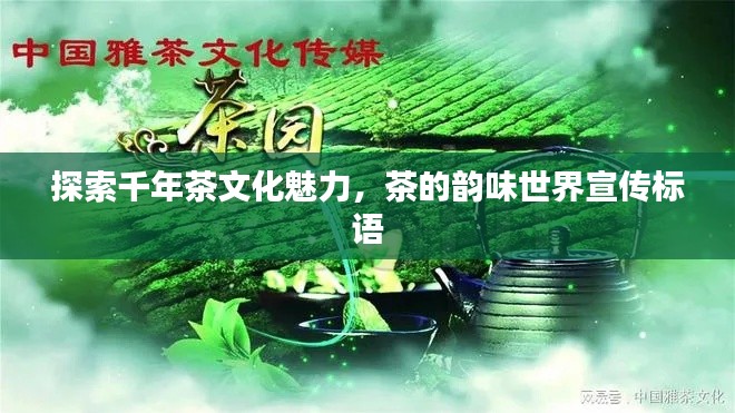 雍容典雅 第3页