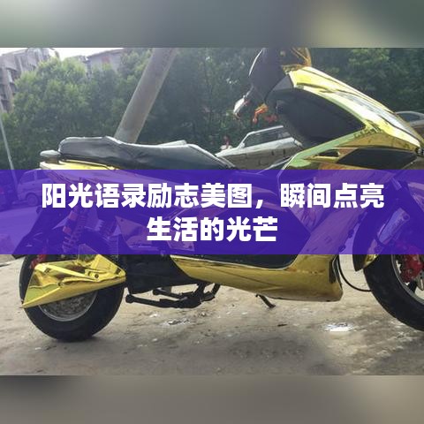 阳光语录励志美图,瞬间点亮生活的光芒