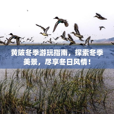 黄陂冬季游玩指南,探索冬季美景,尽享冬日风情!
