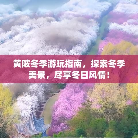 黄陂冬季游玩指南,探索冬季美景,尽享冬日风情!