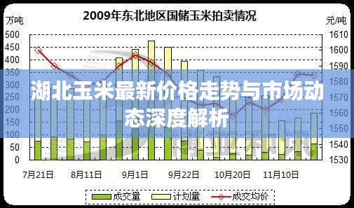 湖北玉米最新价格走势与市场动态深度解析