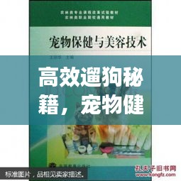 高效遛狗秘籍,宠物健康与快乐的双赢之道