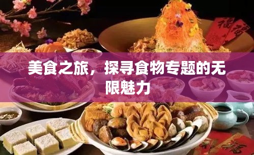 美食之旅,探寻食物专题的无限魅力