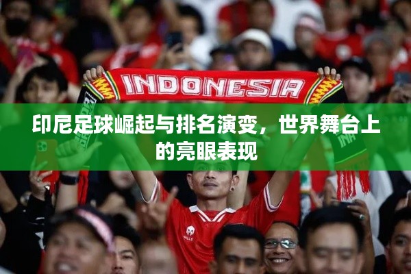 印尼足球崛起与排名演变,世界舞台上的亮眼表现