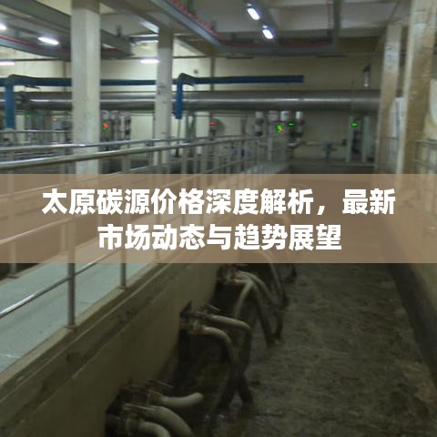 太原碳源价格深度解析,最新市场动态与趋势展望