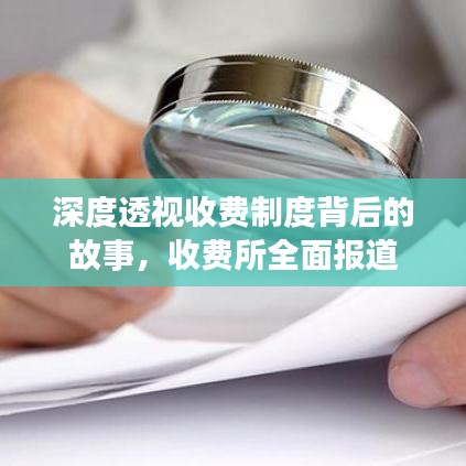 深度透视收费制度背后的故事,收费所全面报道