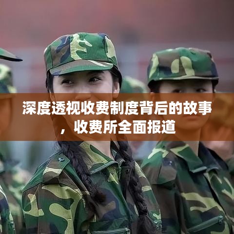 深度透视收费制度背后的故事,收费所全面报道