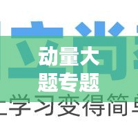 动量大题专题深度解析,理解与应用指南