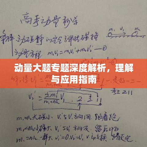 动量大题专题深度解析,理解与应用指南