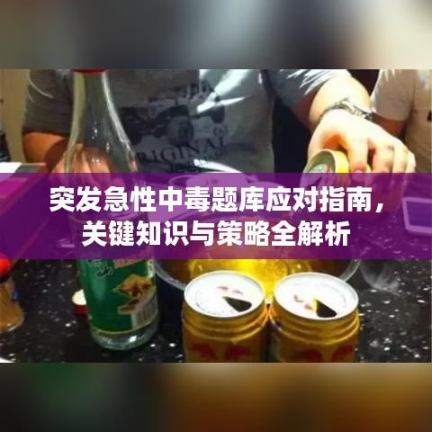 突发急性中毒题库应对指南,关键知识与策略全解析