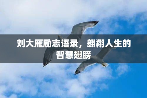 刘大雁励志语录,翱翔人生的智慧翅膀