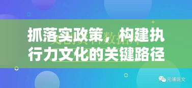 抓落实政策,构建执行力文化的关键路径,方法与策略探讨