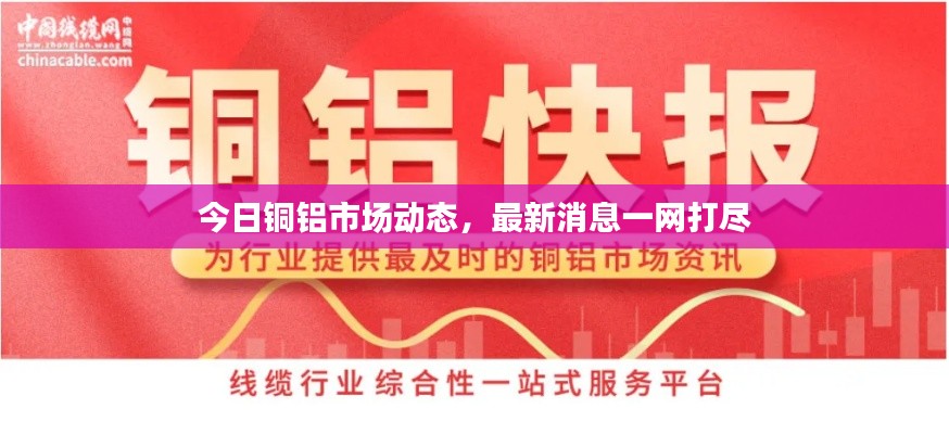 今日铜铝市场动态,最新消息一网打尽