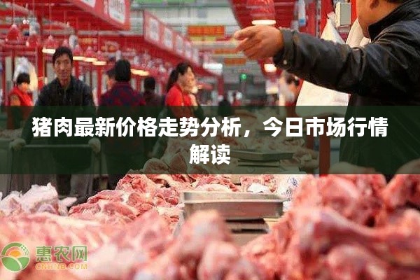 猪肉最新价格走势分析,今日市场行情解读