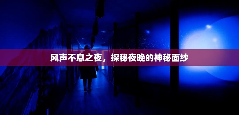 风声不息之夜,探秘夜晚的神秘面纱