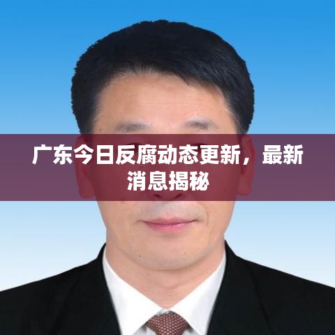 广东今日反腐动态更新,最新消息揭秘