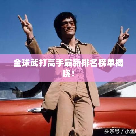 全球武打高手最新排名榜单揭晓!