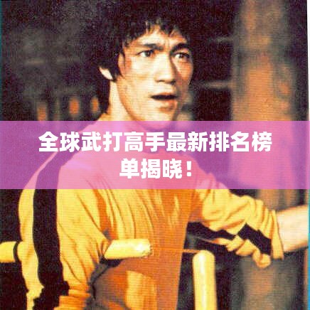 全球武打高手最新排名榜单揭晓!