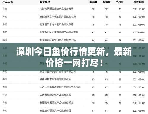深圳今日鱼价行情更新,最新价格一网打尽!