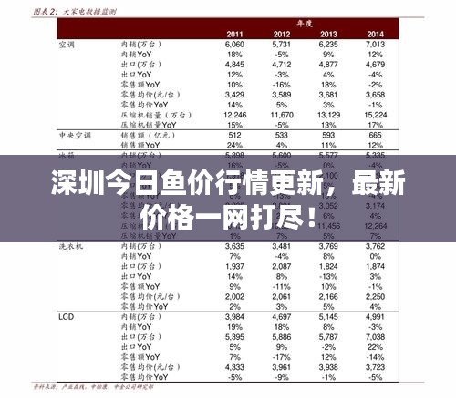 深圳今日鱼价行情更新,最新价格一网打尽!