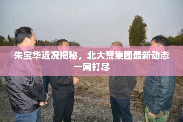 朱宝华近况揭秘,北大荒集团最新动态一网打尽