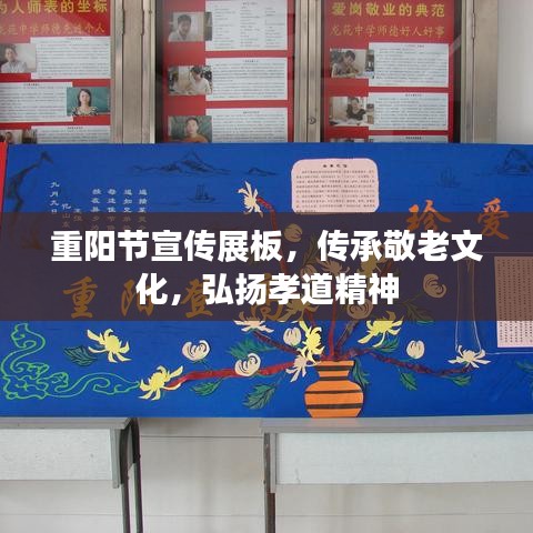 重阳节宣传展板,传承敬老文化,弘扬孝道精神