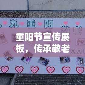 重阳节宣传展板,传承敬老文化,弘扬孝道精神