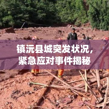 镇沅县城突发状况,紧急应对事件揭秘