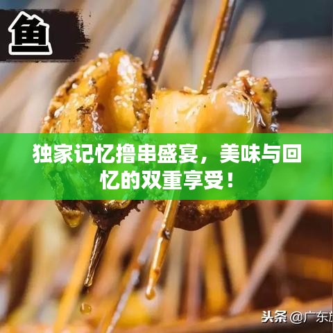 独家记忆撸串盛宴,美味与回忆的双重享受!