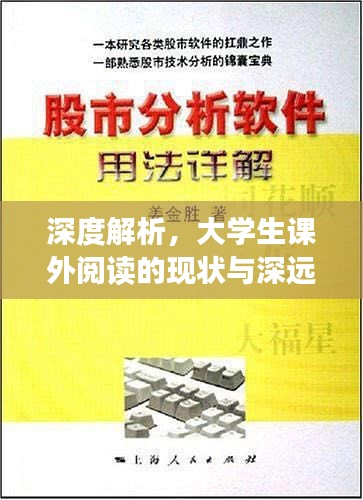 深度解析,大学生课外阅读的现状与深远影响