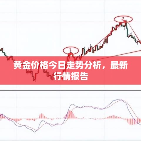 黄金价格今日走势分析,最新行情报告