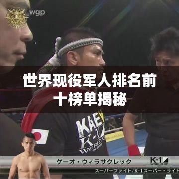 世界现役军人排名前十榜单揭秘
