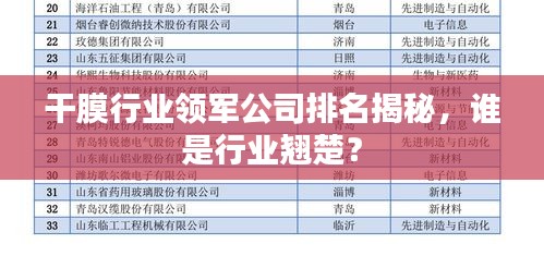 干膜行业领军公司排名揭秘,谁是行业翘楚?