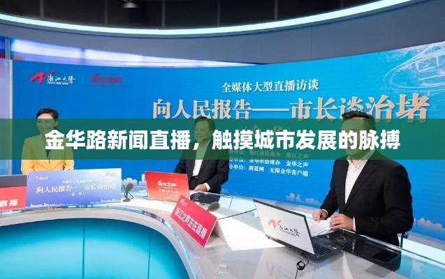 金华路新闻直播,触摸城市发展的脉搏