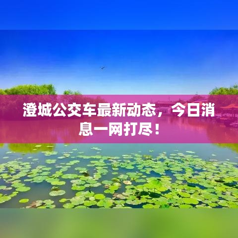 澄城公交车最新动态,今日消息一网打尽!