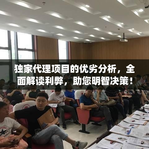 独家代理项目的优劣分析,全面解读利弊,助您明智决策!