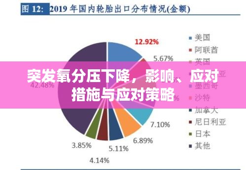 突发氧分压下降,影响、应对措施与应对策略