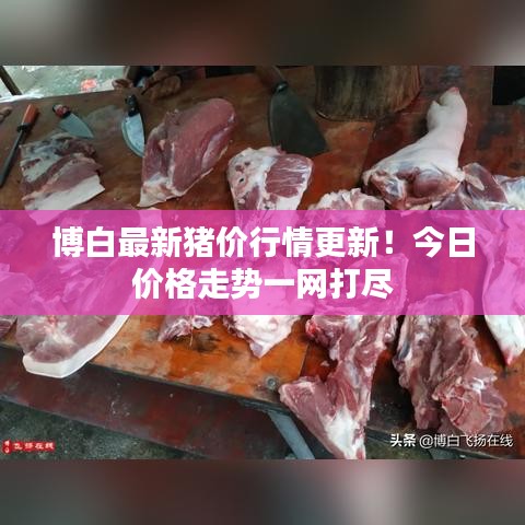 博白最新猪价行情更新!今日价格走势一网打尽