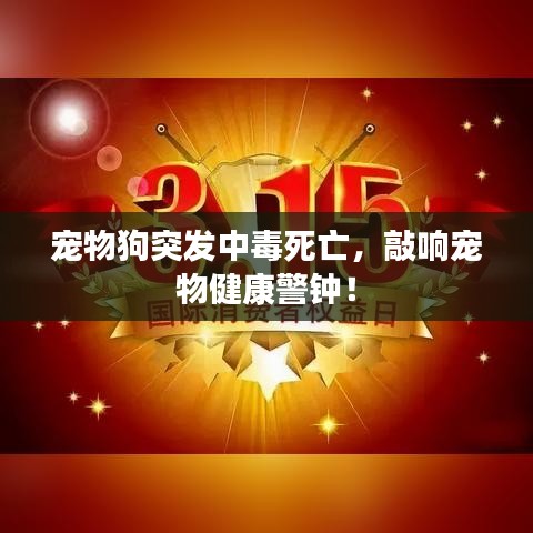 宠物狗突发中毒死亡,敲响宠物健康警钟!