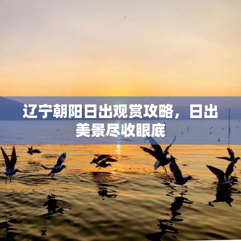 辽宁朝阳日出观赏攻略,日出美景尽收眼底