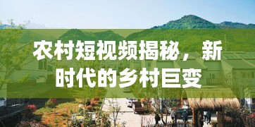 斫琱为朴 第3页