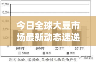 今日全球大豆市场最新动态速递