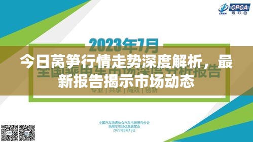 今日莴笋行情走势深度解析,最新报告揭示市场动态