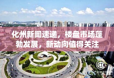 化州新闻速递,楼盘市场蓬勃发展,新动向值得关注