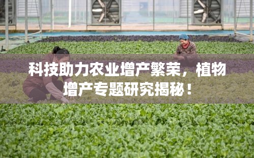 科技助力农业增产繁荣,植物增产专题研究揭秘!
