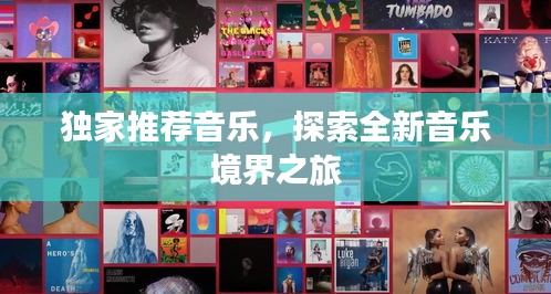 独家推荐音乐,探索全新音乐境界之旅