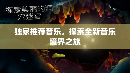 独家推荐音乐,探索全新音乐境界之旅