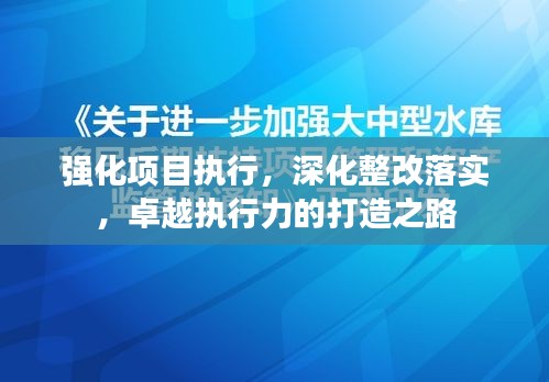 强化项目执行,深化整改落实,卓越执行力的打造之路